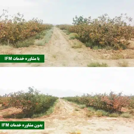 حداکثر عملکرد با بهترین کیفیت در پستـه 