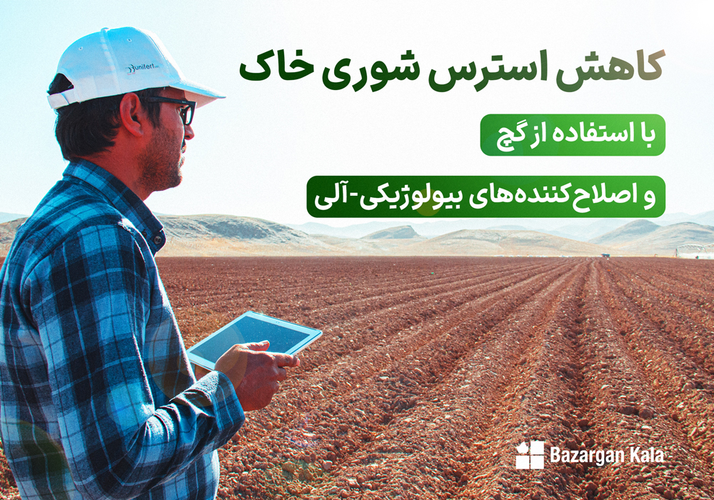 تصویر مقاله کاهش استرس شوری خاک